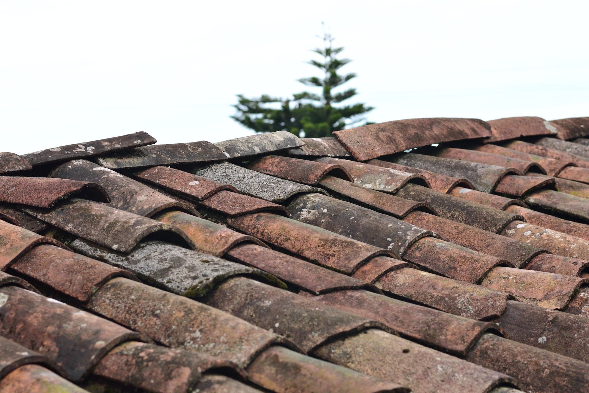 Roof Repairs and leaks